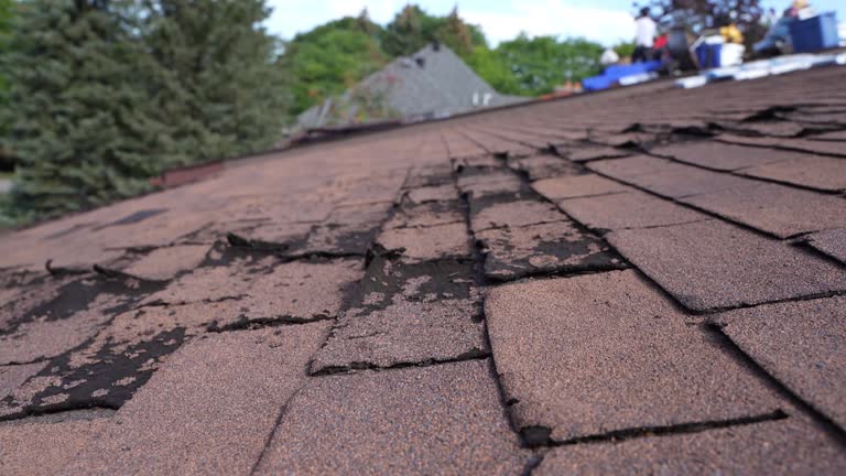 Steel Roofing in St Helena, CA
